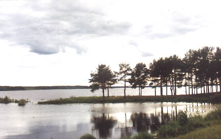 Вышневолоцкое водохранилище. Лето 2001